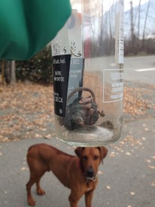 Lest you think I make this shit up, behold Mickey in his watery grave.