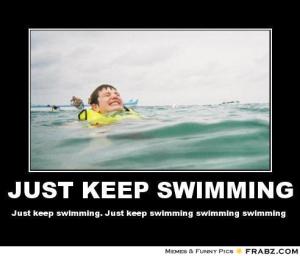 fbz_ce8e9495f30d048a4d7a87922560c294