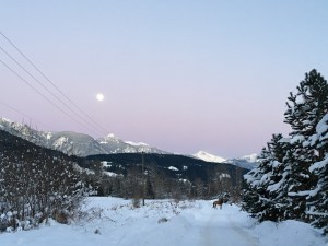 A few minutes of peace and cold.